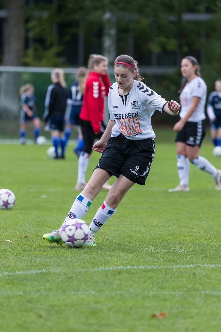 Bild 161 - B-Juniorinnen SV Henstedt Ulzburg - Hamburger SV : Ergebnis: 2:3